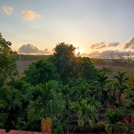Kamanabillu Homestay, For Jog Falls Travellers Siddapur Exterior foto